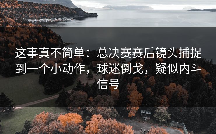 这事真不简单：总决赛赛后镜头捕捉到一个小动作，球迷倒戈，疑似内斗信号  第1张