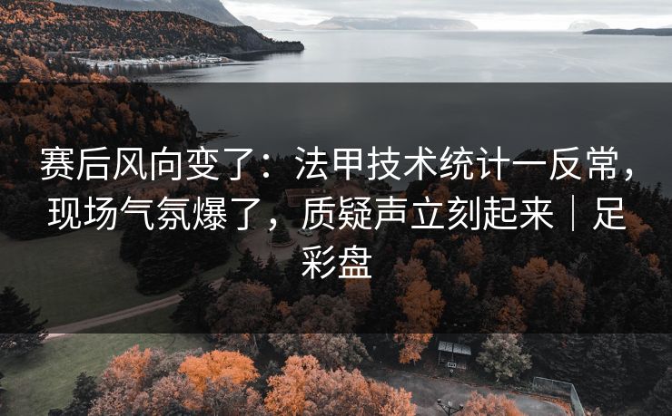 赛后风向变了：法甲技术统计一反常，现场气氛爆了，质疑声立刻起来｜足彩盘  第1张
