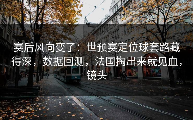 赛后风向变了：世预赛定位球套路藏得深，数据回测，法国掏出来就见血，镜头  第1张